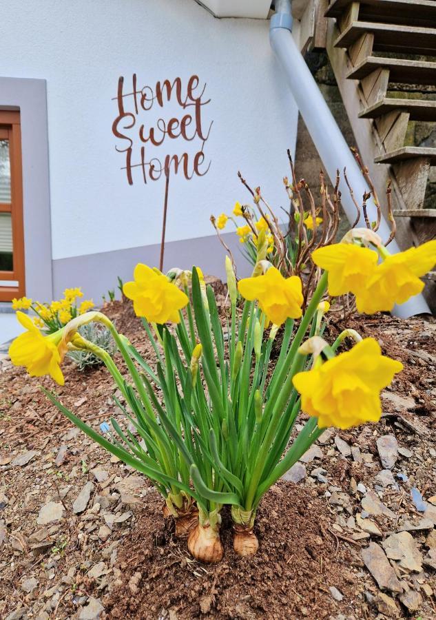 Daffodils Villa Enscherange Exterior photo